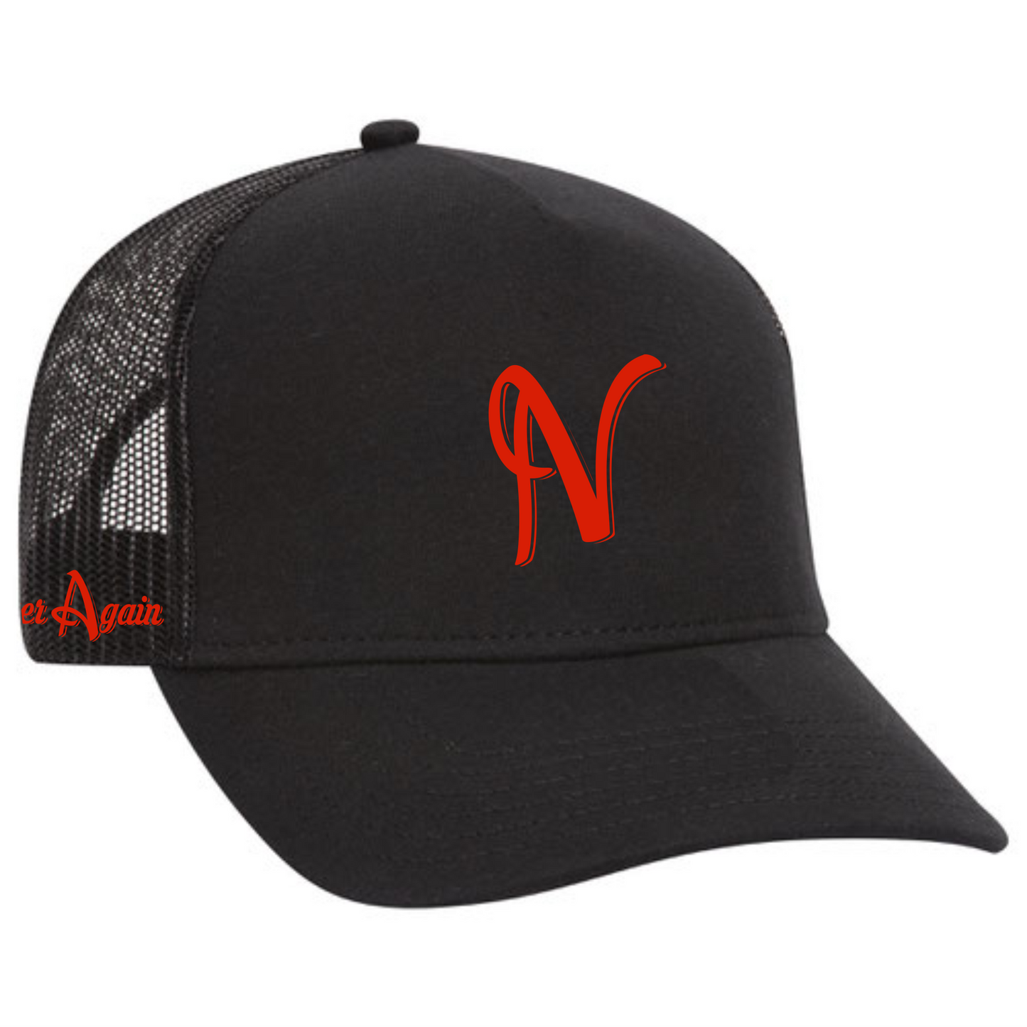 Never Again "N" Curve Bill Cap
